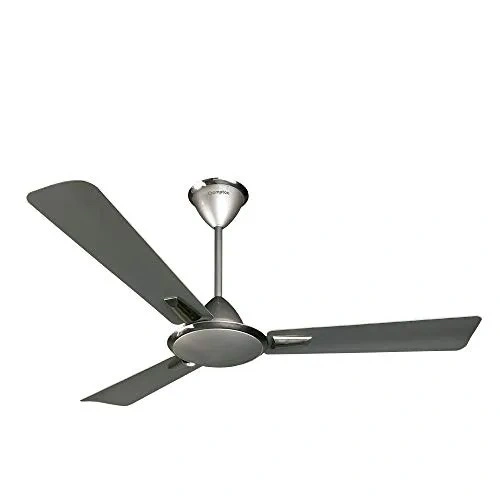 Which Types of Ceiling Fans Do You Currently Have in Stock?